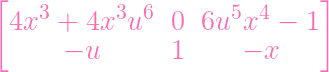 [                              ]
  4x3 +  4x3u6   0  6u5x4  -  1
       - u       1      - x