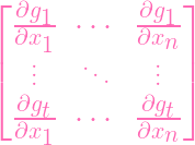 ⌊               ⌋
  ∂g1- ⋅⋅⋅  -∂g1
| ∂x.1       ∂xn. |
⌈  ..    ...    .. ⌉
  ∂gt-      -∂gt
  ∂x1  ⋅⋅⋅  ∂xn